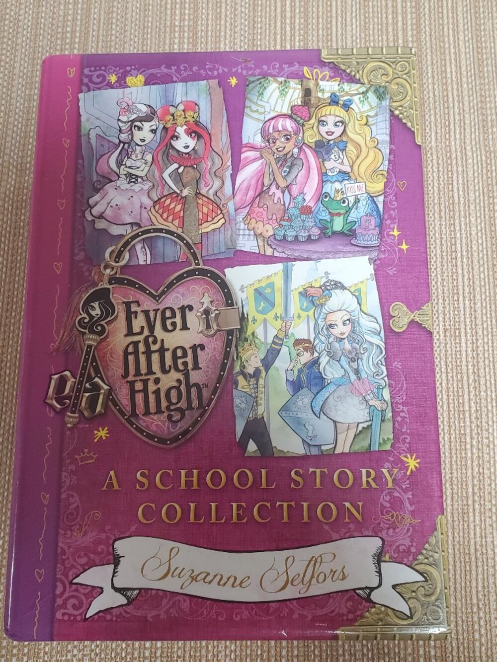 Ever After High School Book Series NWOT